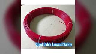 Steel Cable Lanyard Safety Hook
